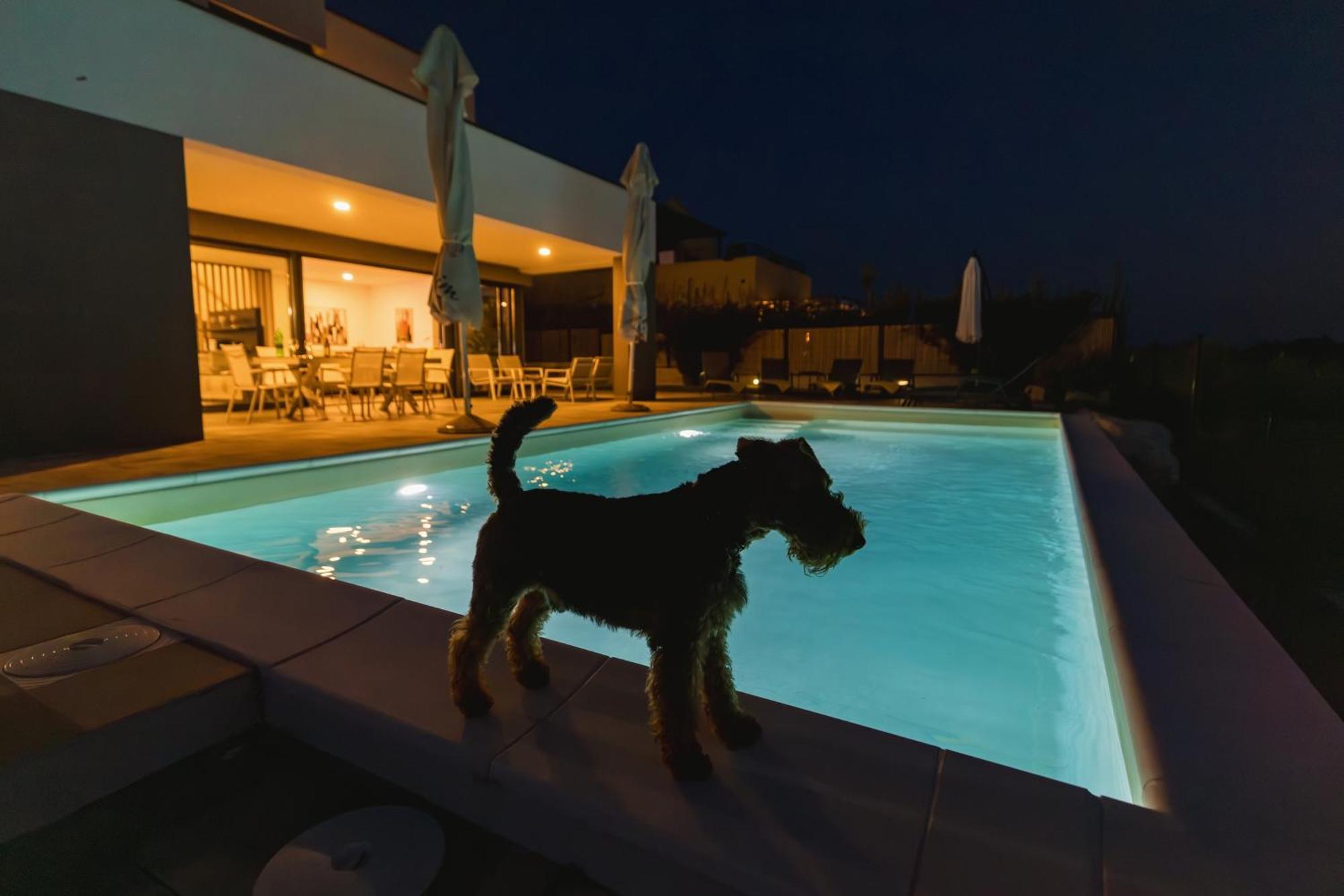 Villa Boiky - Private Pool And Amazing Sea View, Istria Materada Exterior photo