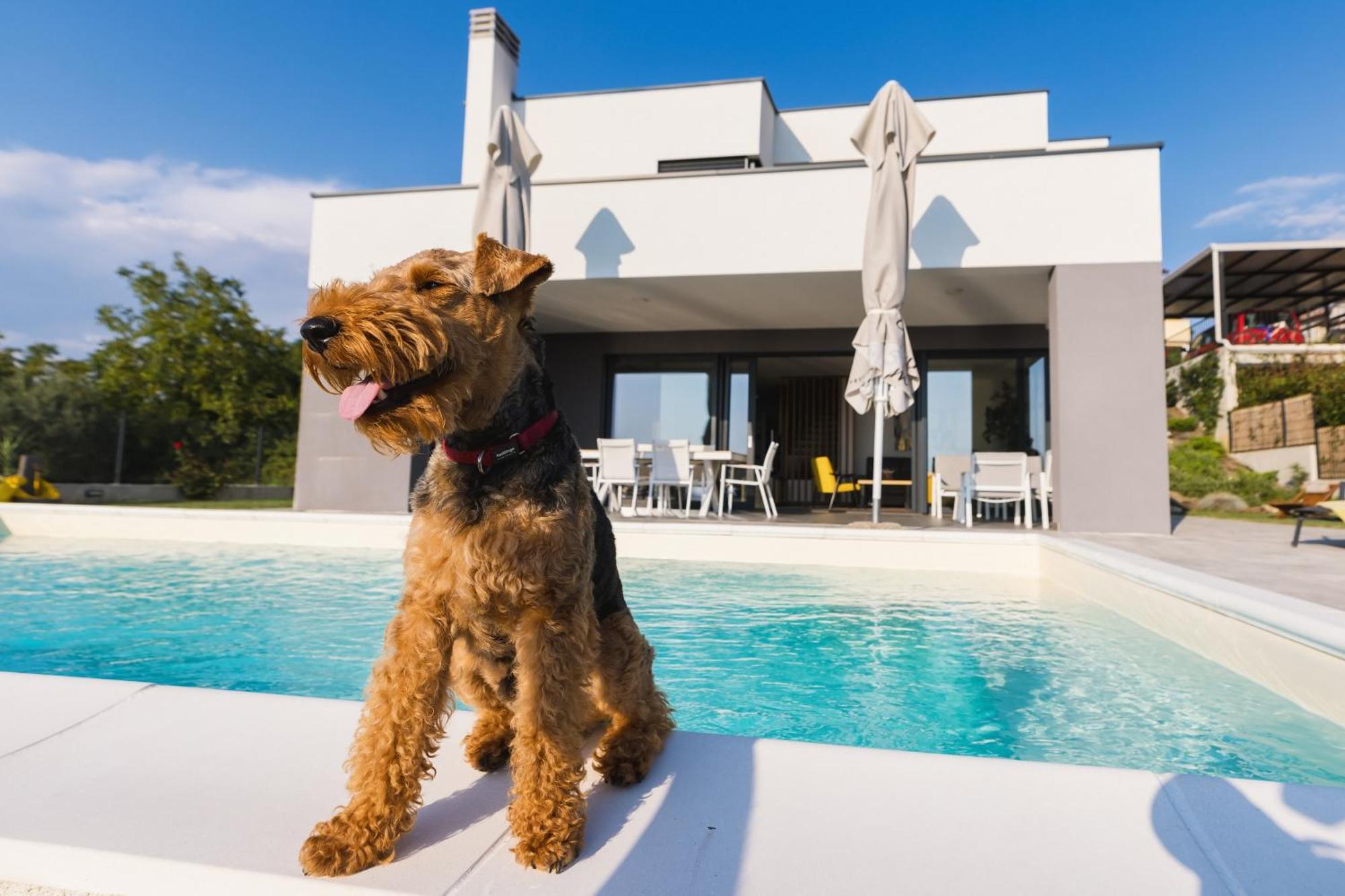 Villa Boiky - Private Pool And Amazing Sea View, Istria Materada Exterior photo